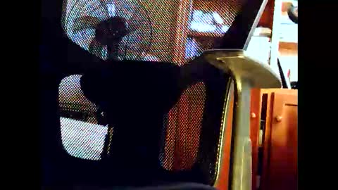 woodyforyou2 online show from 01-19-26, 12:47