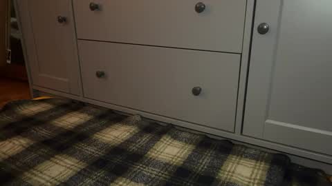 Sage online show from 12-21-25, 04:25