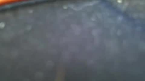 wrangleat0r online show from 01-28-25, 11:50