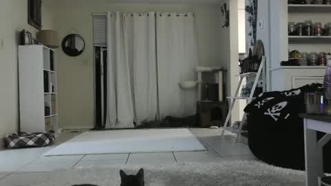 Snapshot of wrenleigh chatting on 12-26-24, 09:22 Crystal Lake online show from 12-26-24, 09:22