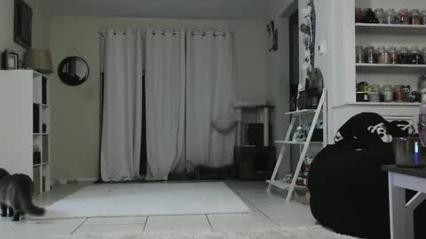 Snapshot of wrenleigh chatting on 01-03-25, 05:28 Crystal Lake online show from 01-03-25, 05:28