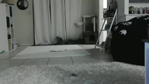 Snapshot of wrenleigh chatting on 01-12-25, 09:08 Crystal Lake online show from 01-12-25, 09:08