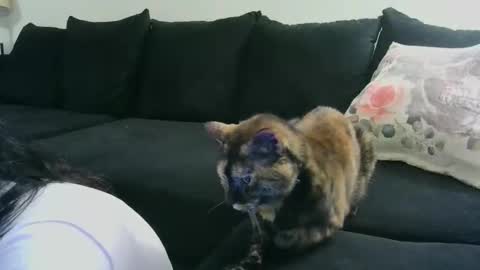 Snapshot of wrenleigh chatting on 10-15-25, 06:35 Crystal Lake online show from 10-15-25, 06:35