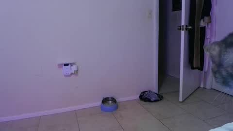 Snapshot of wrenleigh chatting on 11-30-25, 05:22 Crystal Lake online show from 11-30-25, 05:22