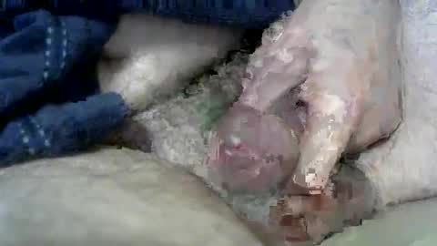 Snapshot of wxherts chatting on 03-11-25, 06:53 Charles online show from 03-11-25, 06:53