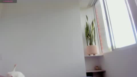 Xavier online show from 01-18-26, 08:34