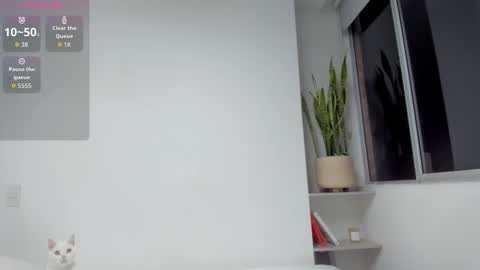 Xavier online show from 03-19-26, 10:08