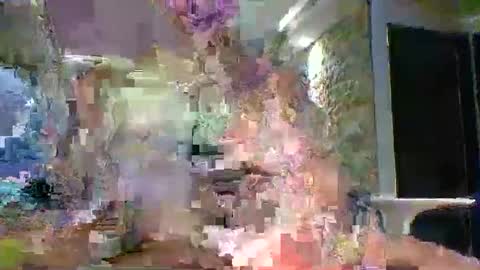 xavii31 online show from 03-11-26, 01:44