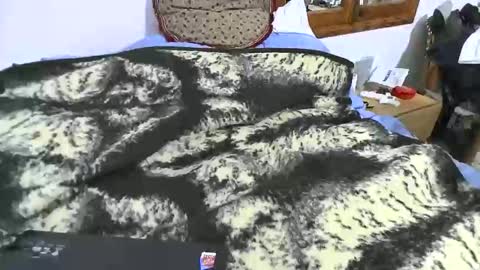 xaxi3 online show from 01-10-26, 11:31