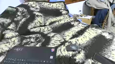 xaxi3 online show from 03-15-26, 03:45