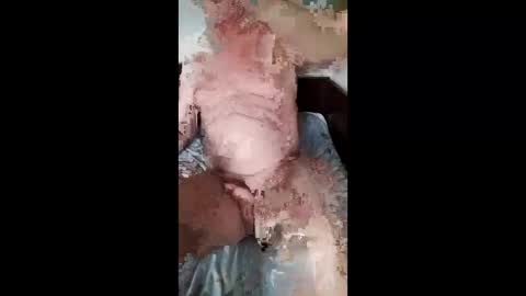 Slava online show from 03-29-26, 11:49