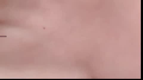 Snapshot of xinbao799322 chatting on 11-14-25, 02:05 xinbao799322 online show from 11-14-25, 02:05