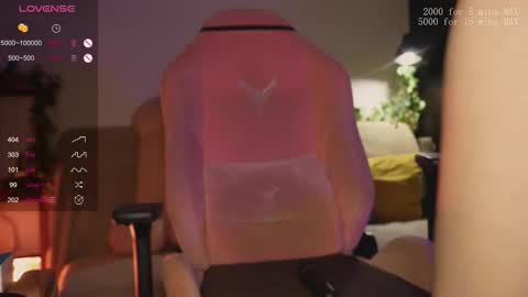    online show from 02-06-26, 11:41