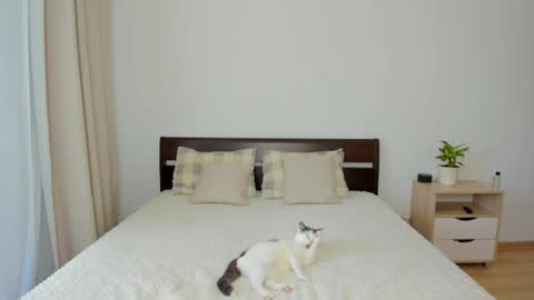 Snapshot of xloe_queen chatting on 06-18-26, 11:03 Chloe online show from 06-18-26, 11:03