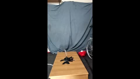 xoomia3 online show from 01-10-26, 10:28