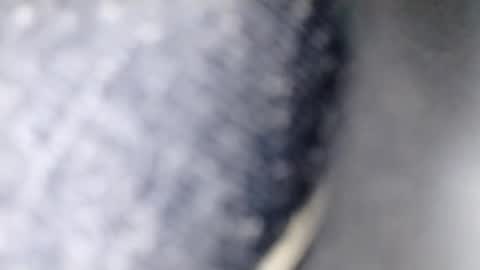 xploid1982 online show from 12-17-25, 01:33