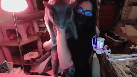 coco online show from 11-22-25, 08:46