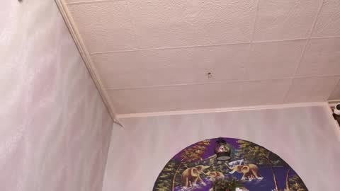 isa and gonzo online show from 12-16-25, 04:39