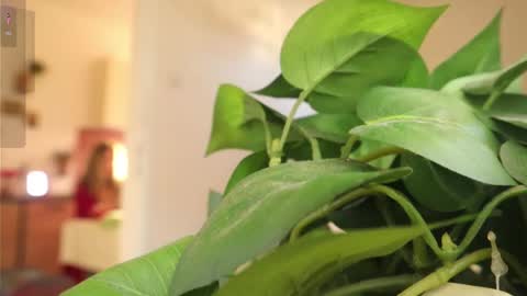 Snapshot of xxxoka chatting on 03-06-25, 02:08 Xxxoka online show from 03-06-25, 02:08