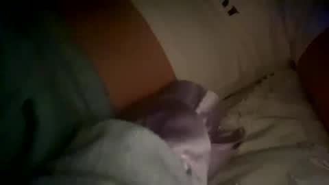 xxxsophiaday online show from 10-04-25, 08:56