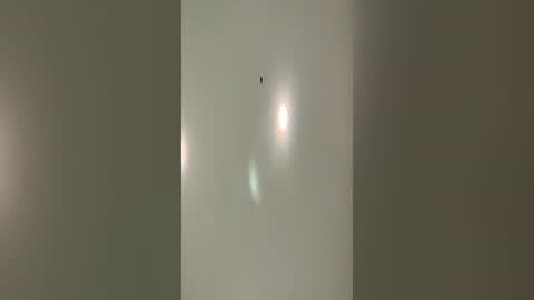 Snapshot of xxxvoidxx chatting on 06-19-26, 07:01 xxxvoidxx online show from 06-19-26, 07:01