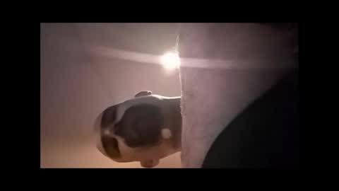 Snapshot of xzbib chatting on 04-04-26, 04:48 Xzbib online show from 04-04-26, 04:48