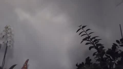 yakijoe online show from 03-01-26, 10:56