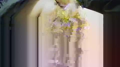 yangolox3 online show from 11-14-25, 03:55