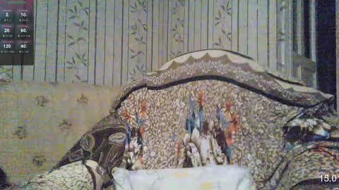 Sven online show from 01-15-25, 07:48