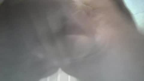Snapshot of yaycarr9 chatting on 06-12-26, 10:52 yaycarr9 online show from 06-12-26, 10:52