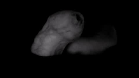 Snapshot of yeasayer004 chatting on 10-08-25, 01:25 yeasayer online show from 10-08-25, 01:25