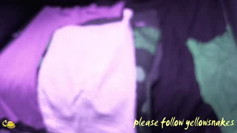 .     y e l l o w s n a k e s       . online show from 12-17-25, 11:27