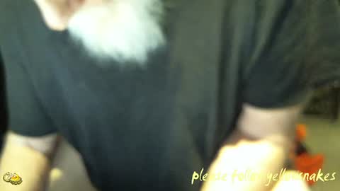 .     y e l l o w s n a k e s       . online show from 01-14-26, 01:50