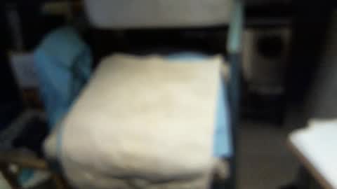 .     y e l l o w s n a k e s       . online show from 02-03-26, 04:43