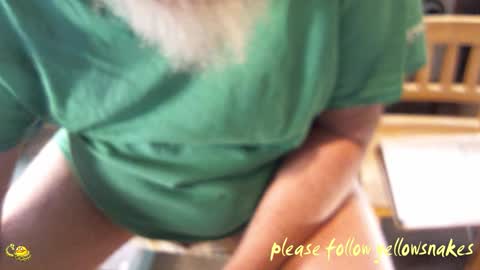 .     y e l l o w s n a k e s       . online show from 03-19-26, 12:03