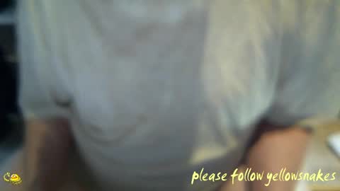 .     y e l l o w s n a k e s       . online show from 04-01-26, 02:25