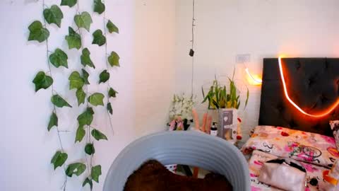 Snapshot of yemfairymcry chatting on 06-10-26, 03:55 YEM online show from 06-10-26, 03:55