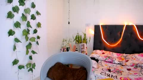 Snapshot of yemfairymcry chatting on 06-11-26, 04:16 YEM online show from 06-11-26, 04:16
