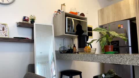 Zlata online show from 02-02-25, 10:28