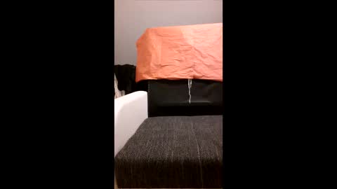 yhoxhbwehhzw online show from 04-20-26, 12:02