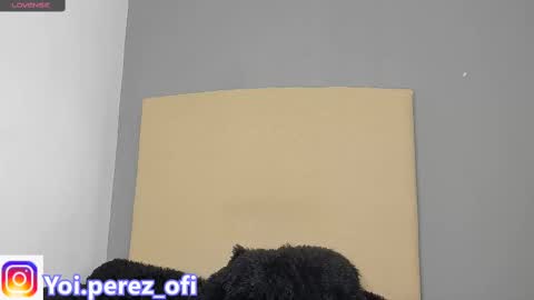 Snapshot of yoi_olimpo chatting on 02-12-25, 12:22 Yoi Olimpo online show from 02-12-25, 12:22