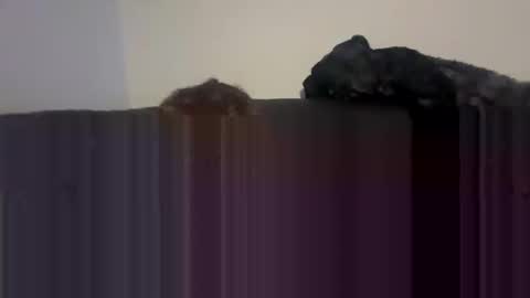 Self fucking fucktoy online show from 04-26-26, 01:58