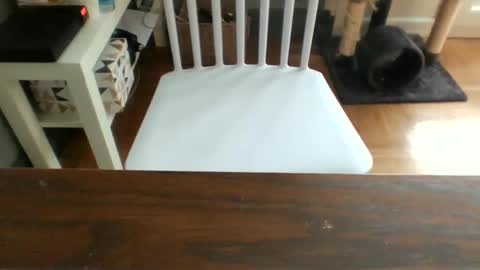 y9551 online show from 10-25-25, 08:55