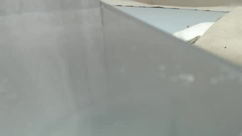 your_guy111 online show from 04-11-26, 12:15