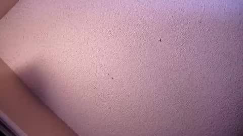 Snapshot of your_king_of_hearts chatting on 05-26-26, 07:04 Sophiestar online show from 05-26-26, 07:04