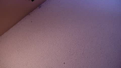 Snapshot of your_king_of_hearts chatting on 06-03-26, 04:26 Sophiestar online show from 06-03-26, 04:26