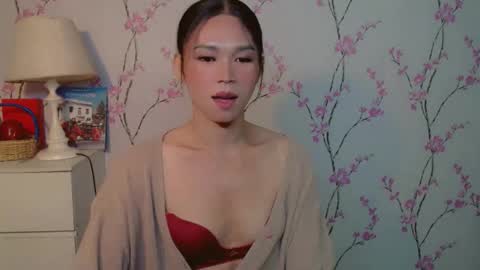 Snapshot of yourdreamgirljane chatting on 10-17-25, 05:48 JANE online show from 10-17-25, 05:48