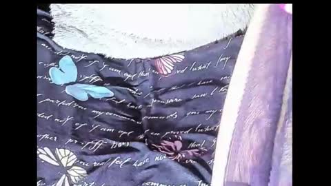 Snapshot of yukiodavis chatting on 10-10-25, 01:48 Yukio Davis  online show from 10-10-25, 01:48