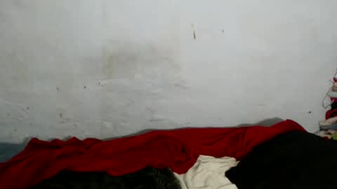 yummytittsxx online show from 03-02-26, 03:09