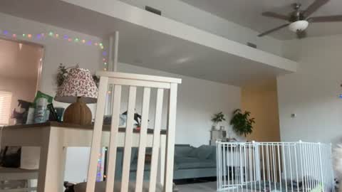 Snapshot of yumyumcandygirl chatting on 07-15-26, 11:32 Roxie online show from 07-15-26, 11:32